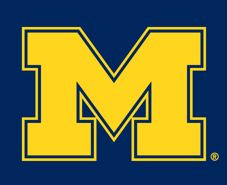 Michigan Wolverines 1996-Pres Alternate Logo v3 diy DTF decal sticker